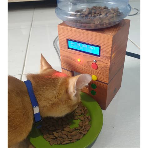 tempat makan kucing dispenser